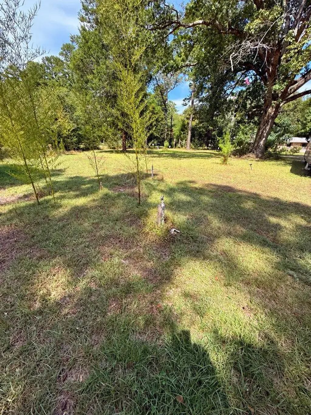 1156 County Road 2132, Burkeville