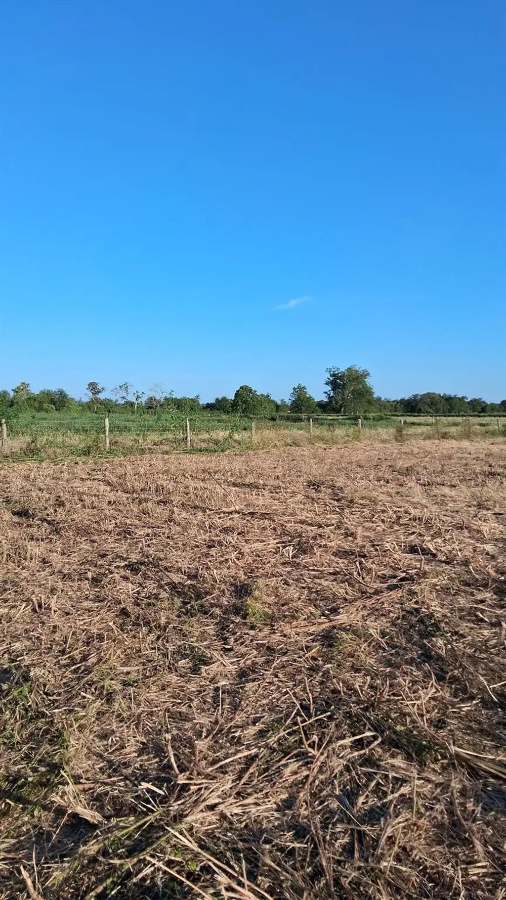 442 Fm 640 Rd, Glen Flora