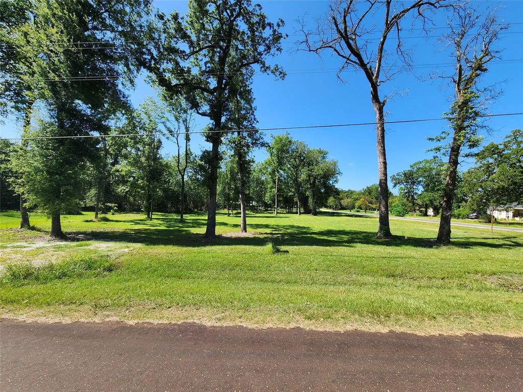 Armadillo Drive, Trinity