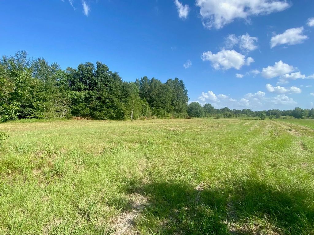 Lot #134 Jb Mcduff Drive, Crockett