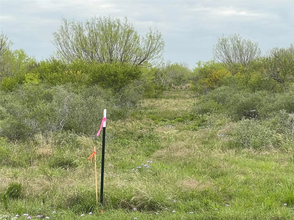 Lot 23 Pr Frio Estates Drive, Moore