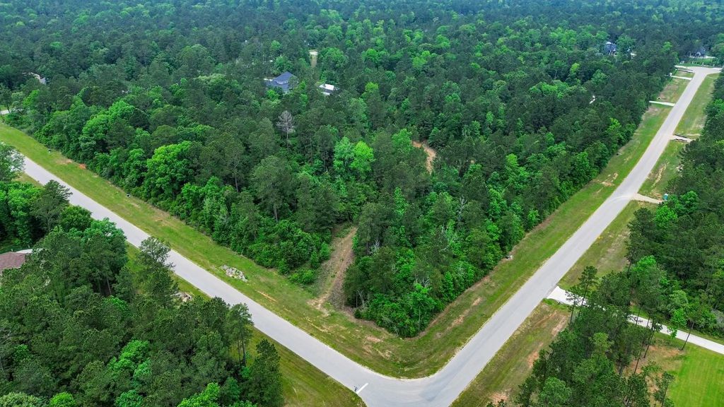 10517 Single Shot Lane, Willis