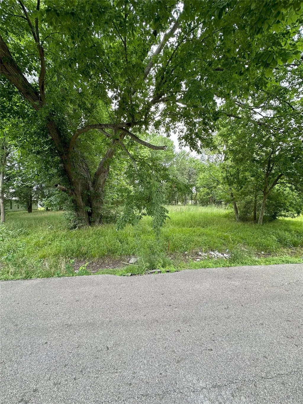 Larkspur Street, Houston