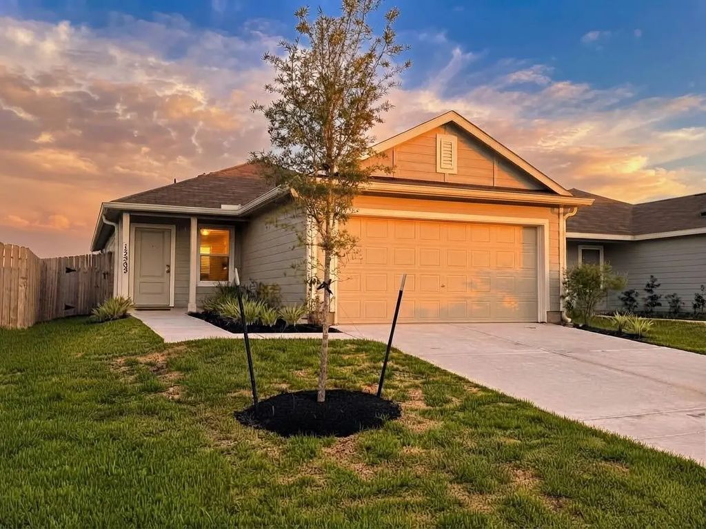 12502 Mountain Daisy Road, Houston