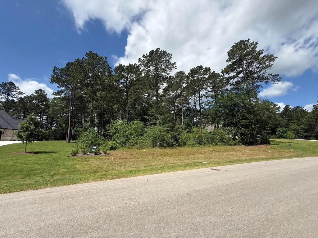 8652 Cedar Meadow Lane, Plantersville