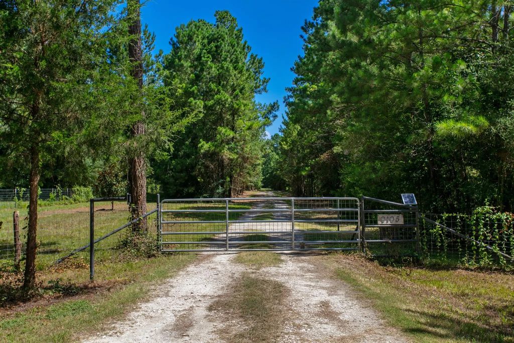 9195 County Road 207, Plantersville
