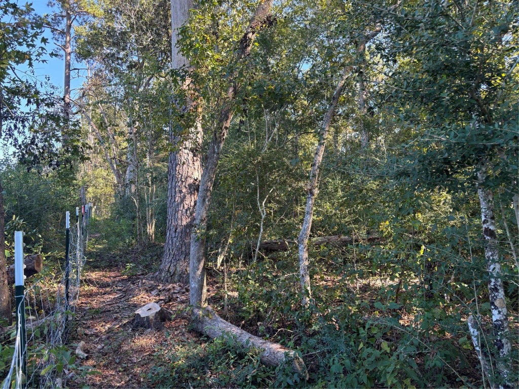 L C Herschap Lane, Livingston