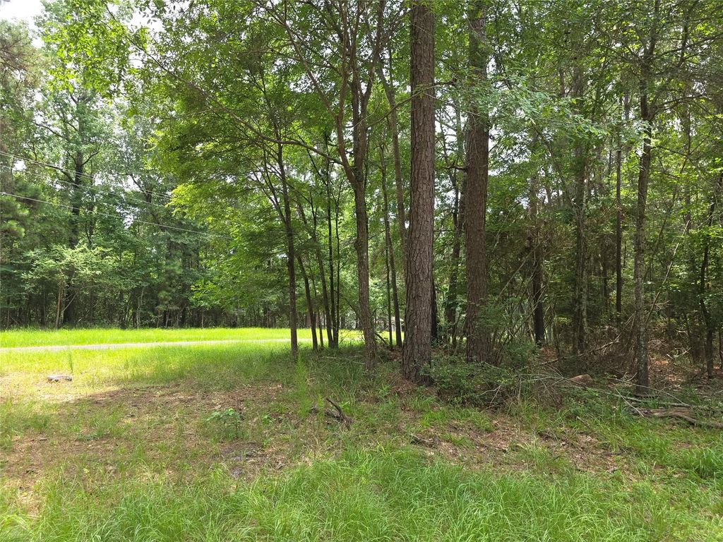 Tbd Loper Lake Drive, Livingston