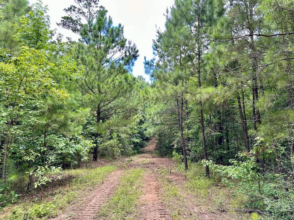 Cr 2065, Crockett