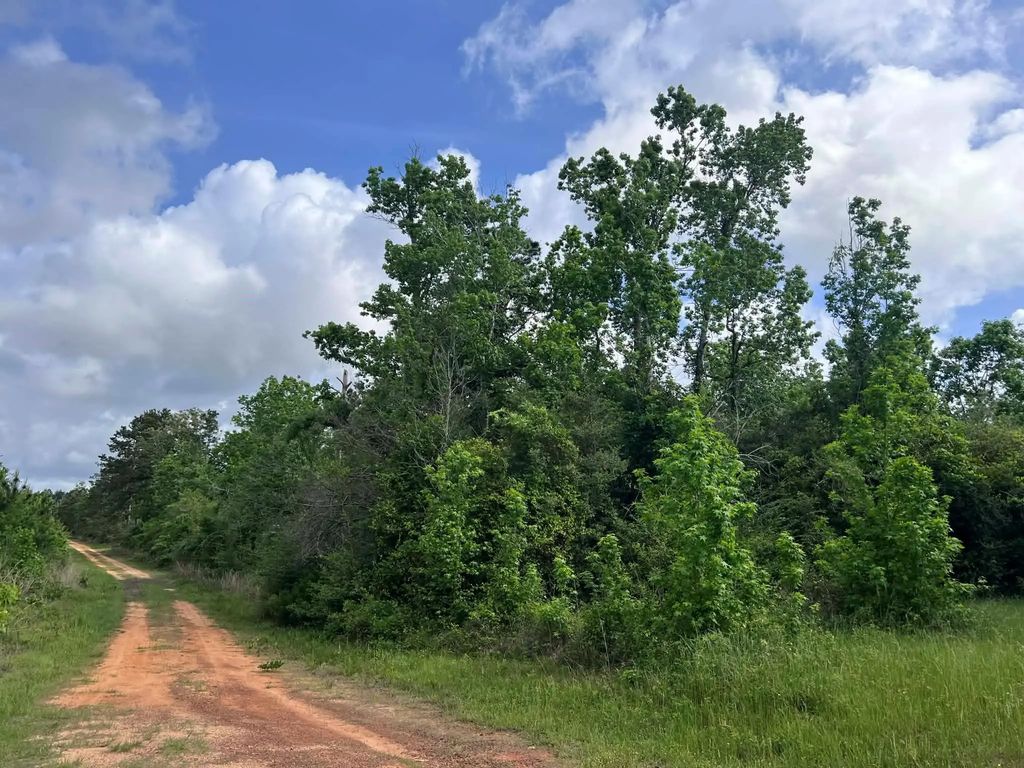 County Road 2041, Newton
