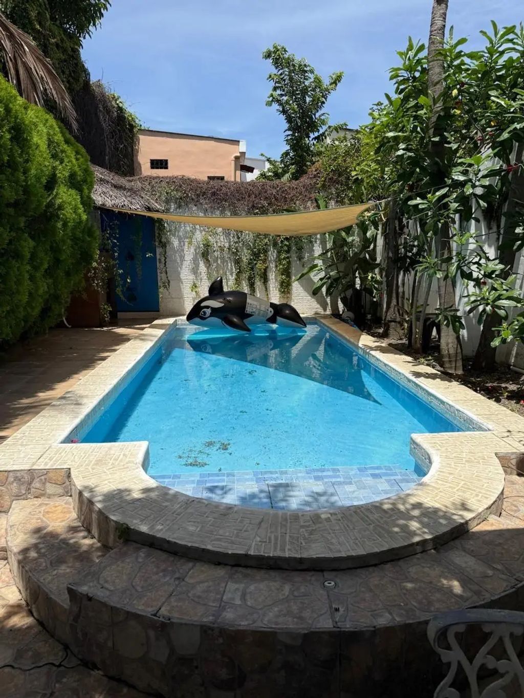 19 Colonia Alta Mira, 