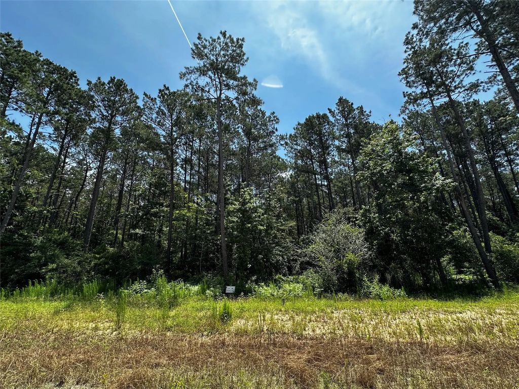 11885 Dawn Tree Lane, Willis