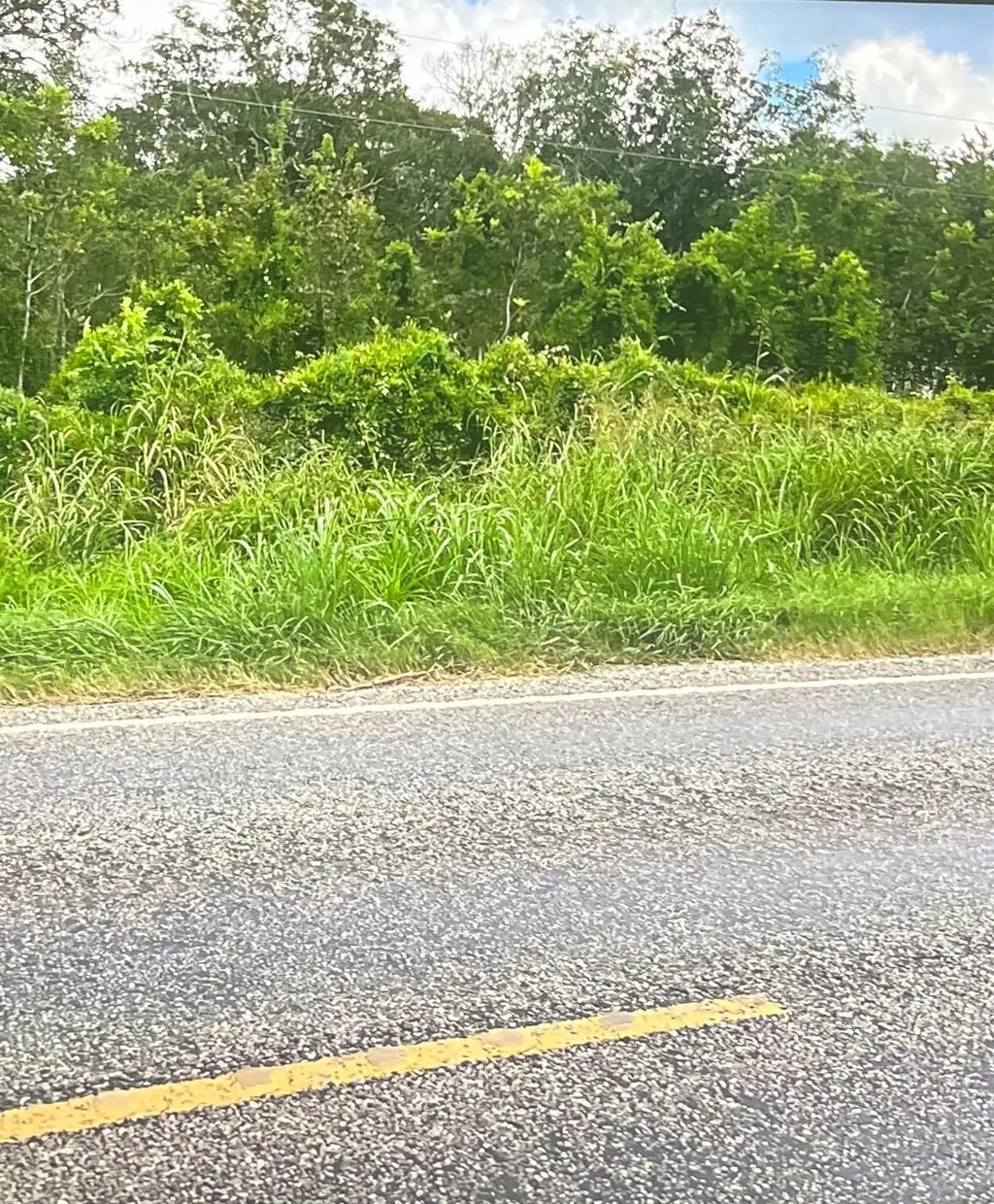 0 Fm 521, Cedar Lane