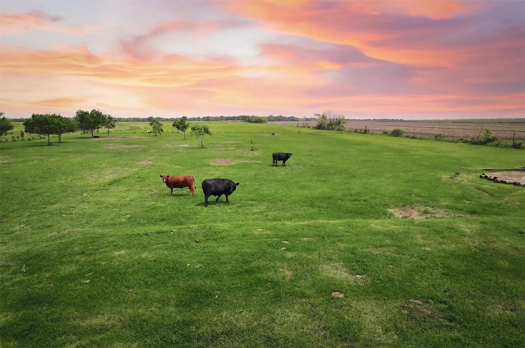 8007 County Road 170, Alvin