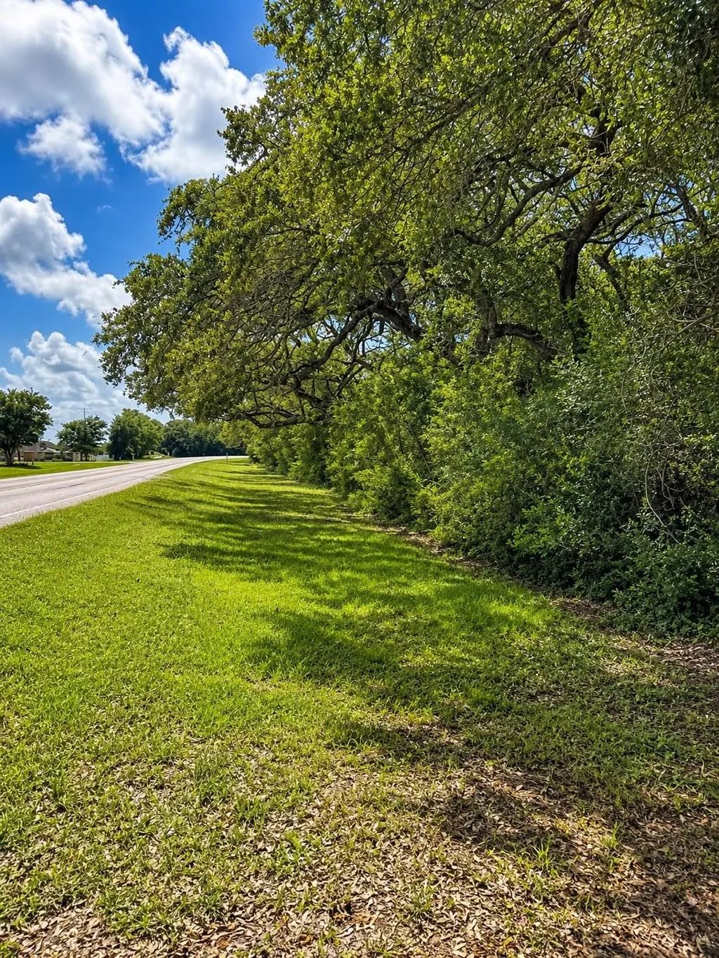 Fm 2853 Perry Reed Pybus Pasture, Clemville