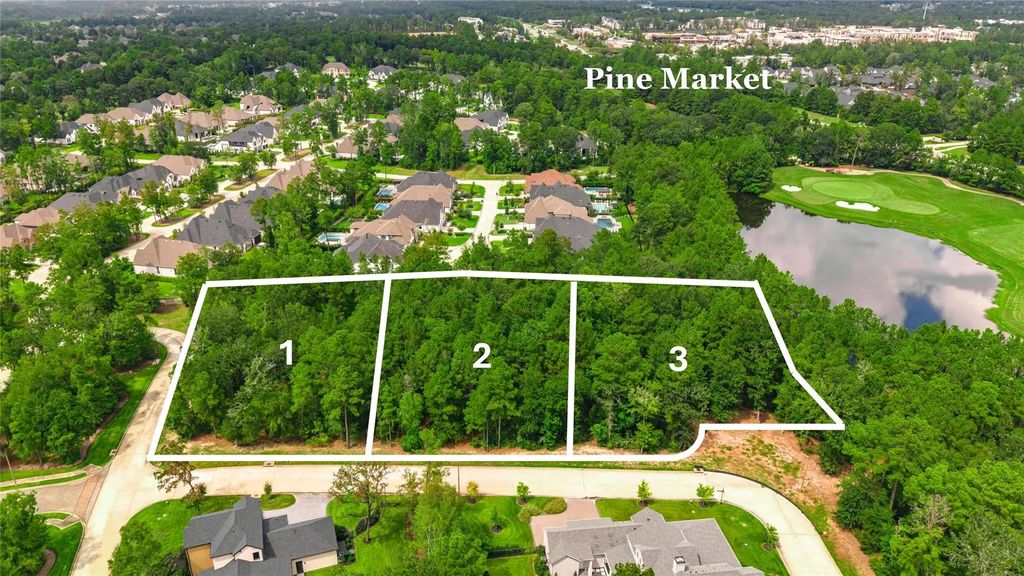 100 Castle Pines Drive, Montgomery