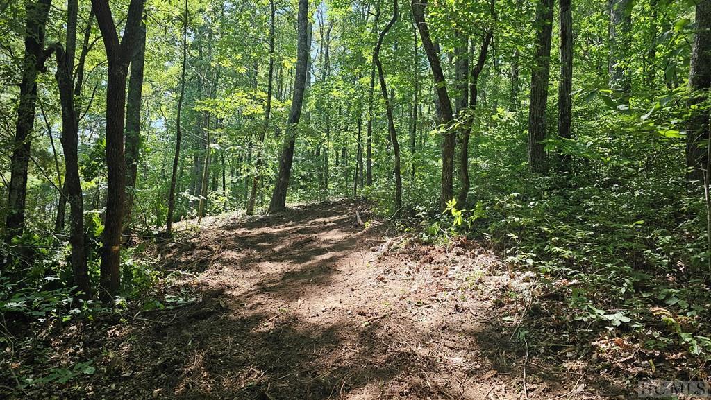 Eastside Duck Mountain Road, Scaly Mountain Property Listing MLS® 105987