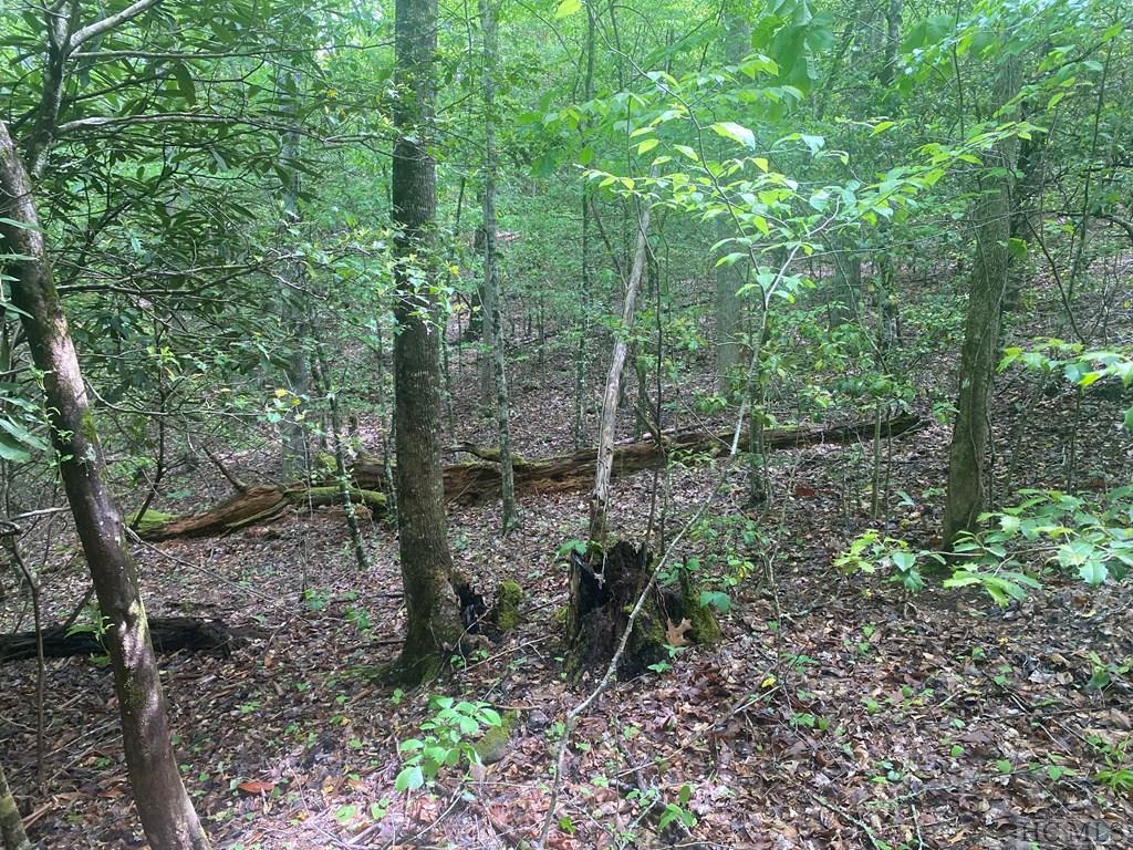 21, 22 Trimont Lake Estates Road, Franklin Property Listing MLS® 106043