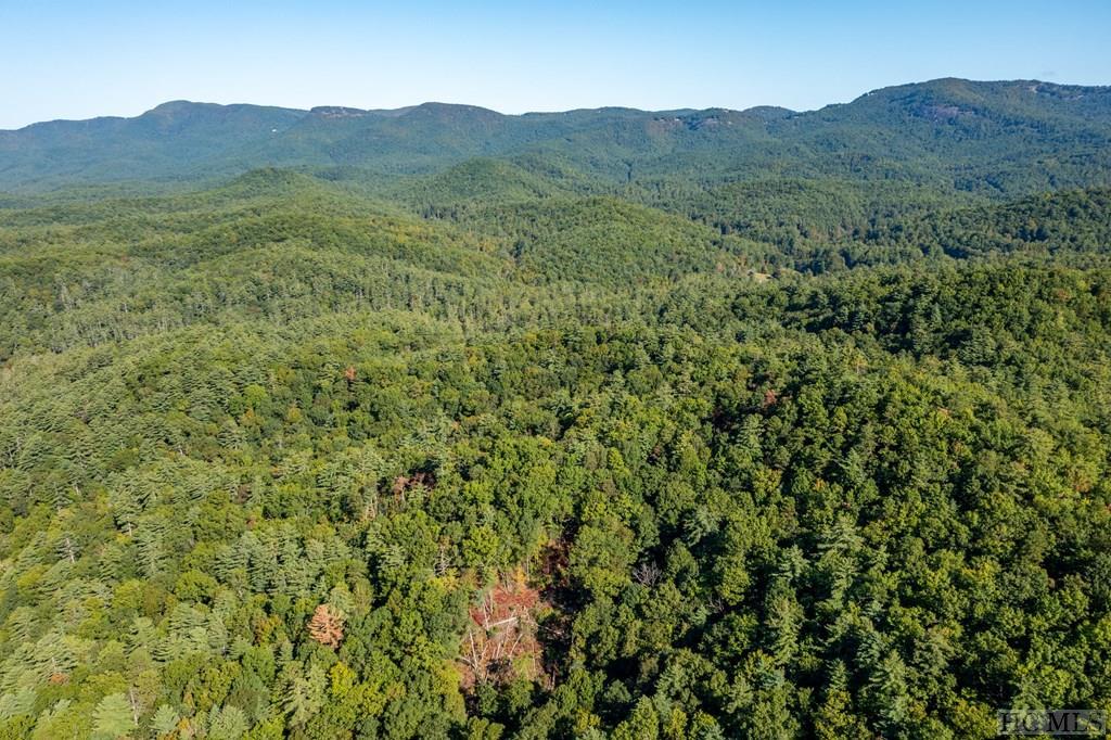 1a2 Elsie Place Trail, Clayton Property Listing MLS® 106260