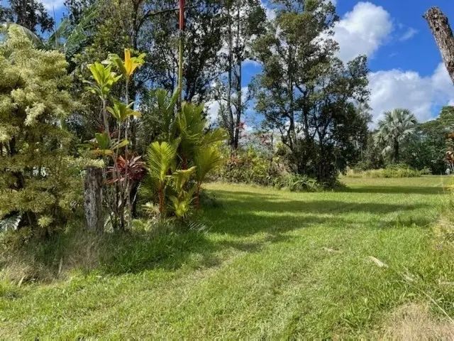 Photo of Listing #731058