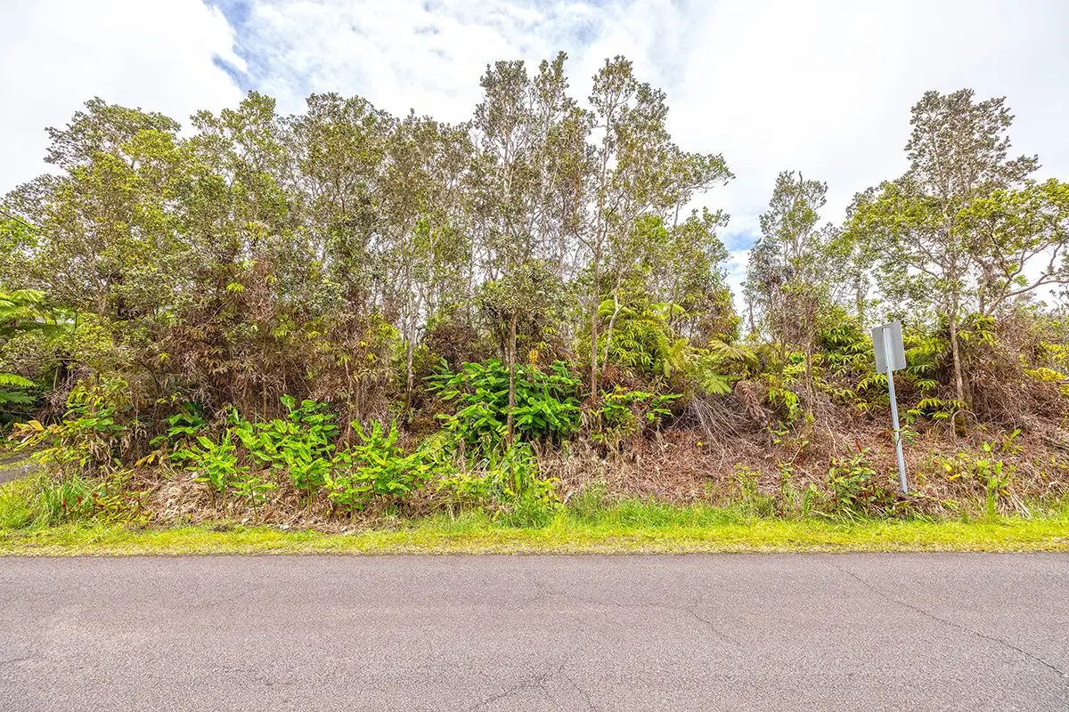 Photo of Listing #731943