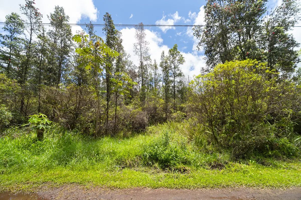 Photo of Listing #732645