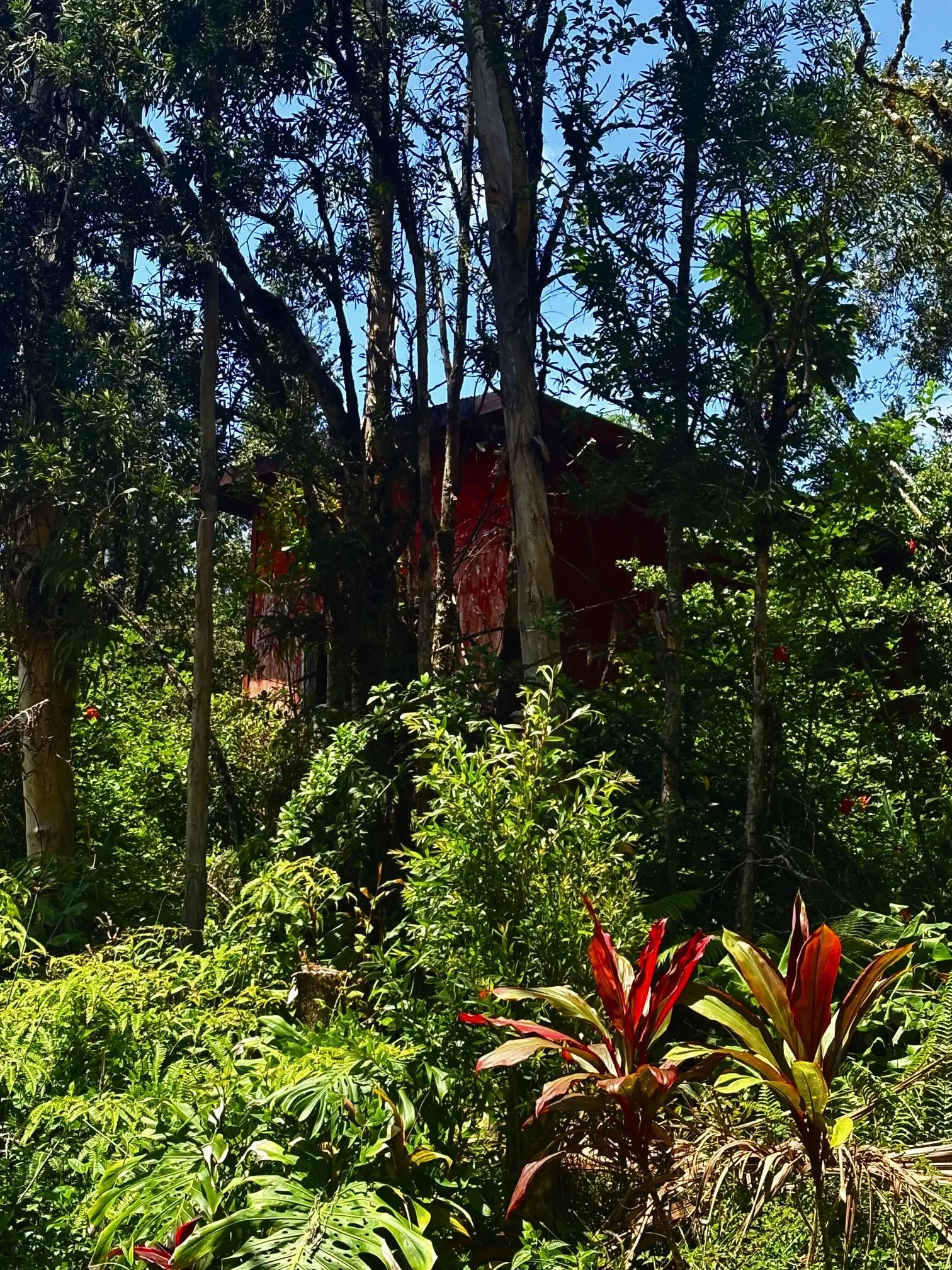 Photo of Listing #733416