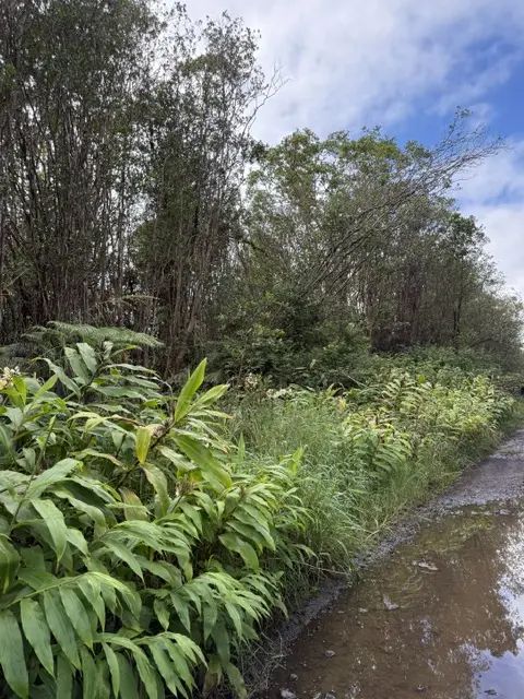 Photo of Listing #733921