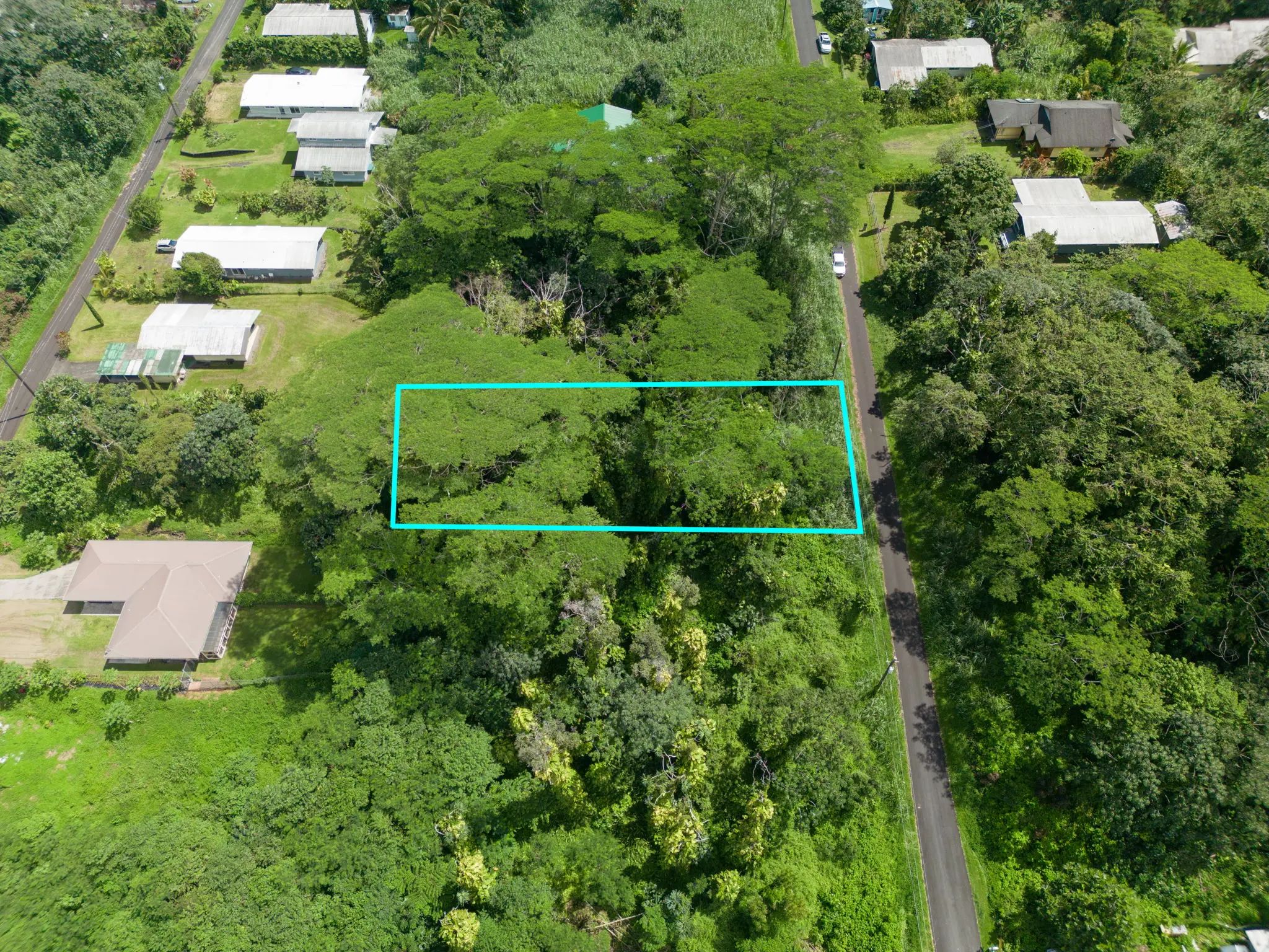 Photo of Listing #733950