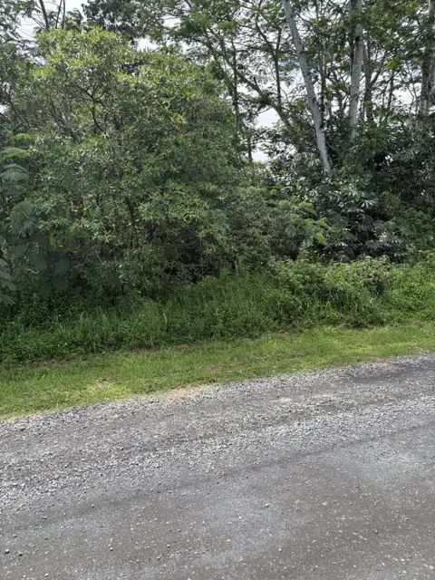 Photo of Listing #733995