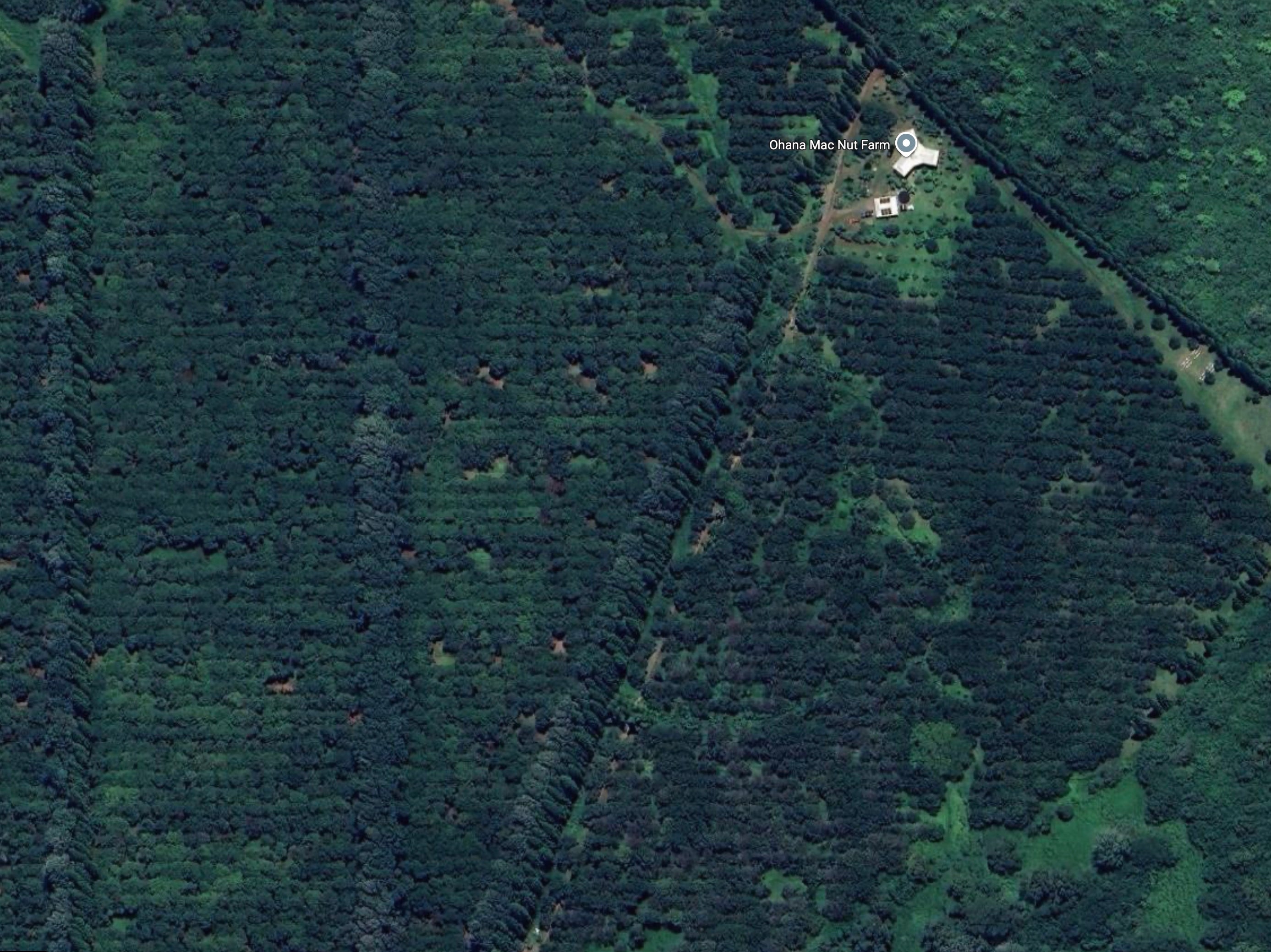 Photo of Listing #727221