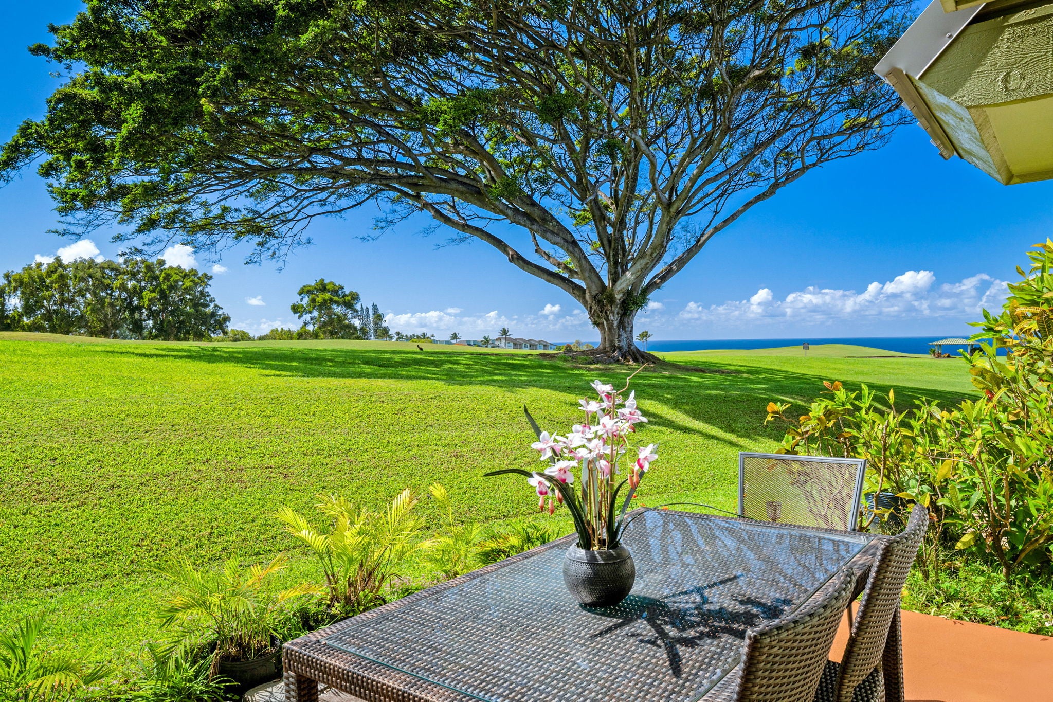 PUAMANA 3880 Wyllie Rd 14d in PRINCEVILLE MLS® 710441 For Sale 1,425,000 in Hanalei, Hawaii