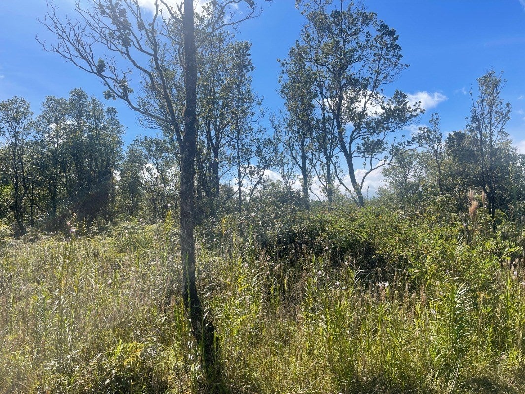 Mikana St in HAWAII'S EDEN ROC ESTATES MLS® 666120 For Sale 17,000