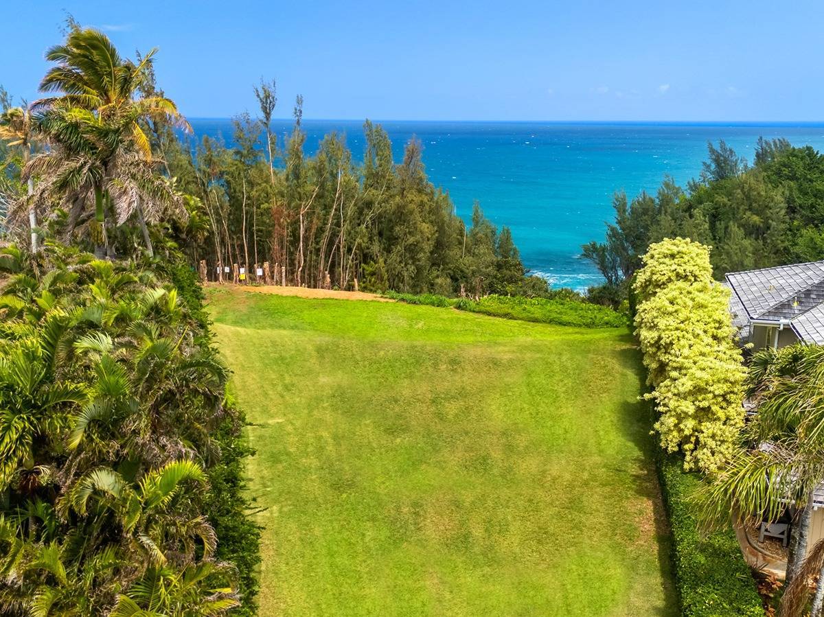 Princeville Real Estate Condos For Sale & Homes in Kauai