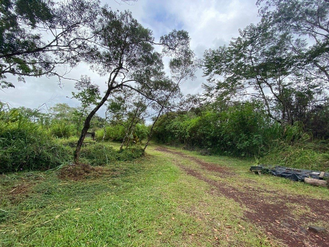 37th Ave in ORCHID LAND ESTATES MLS® 670923 For Sale 110,000 in Puna