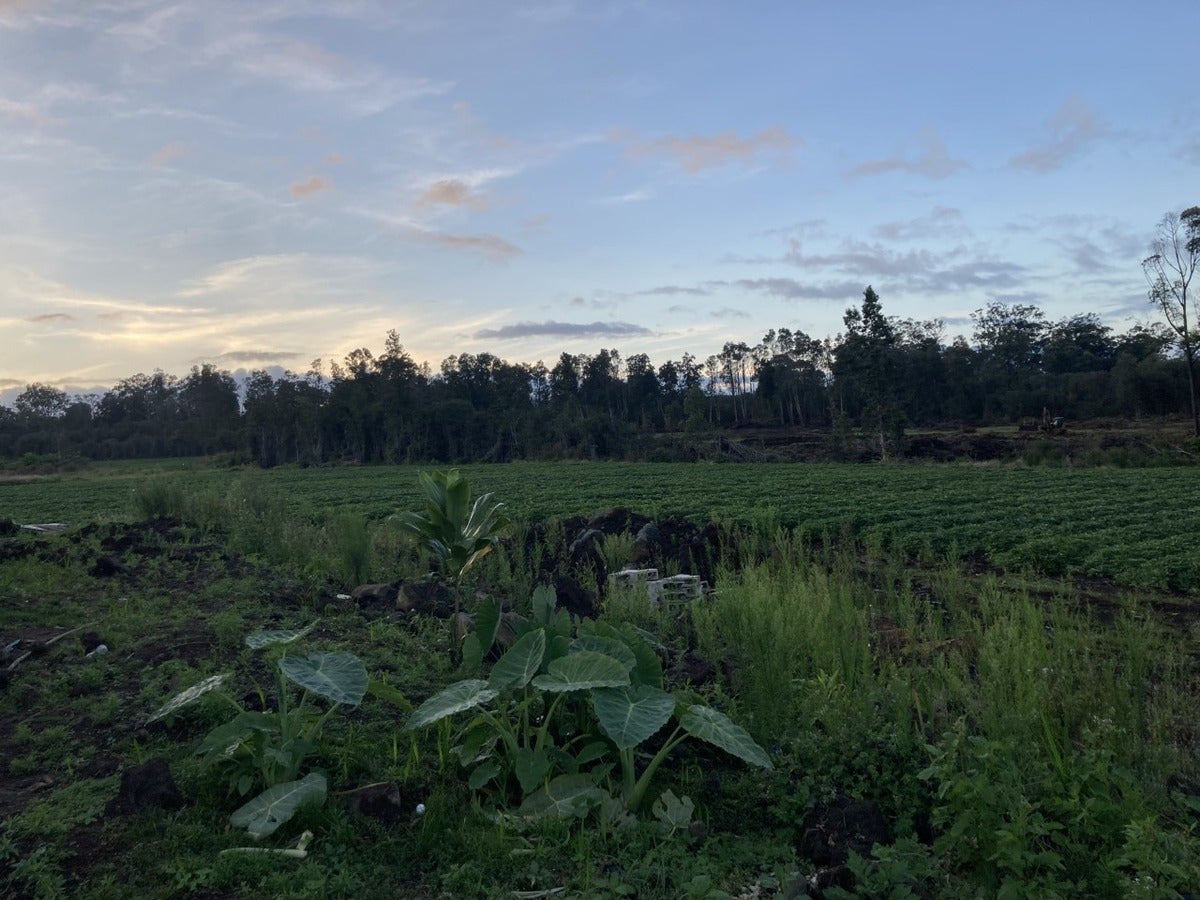 183931 Kopua Rd in OLAA RESERVATION LOTS MLS® 701234 For Sale