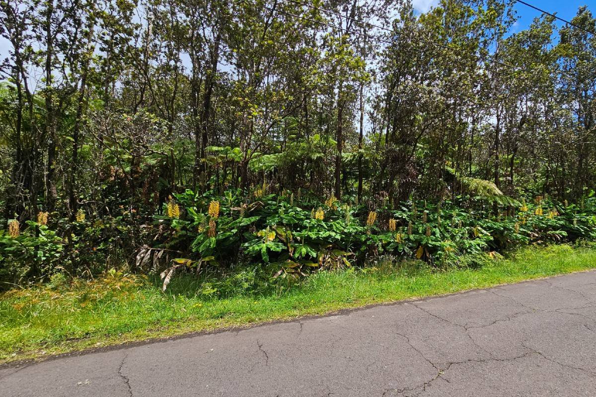 Ala Ohia St in OHIA ESTATES MLS® 703660 For Sale 22,000 in Puna, Hawaii