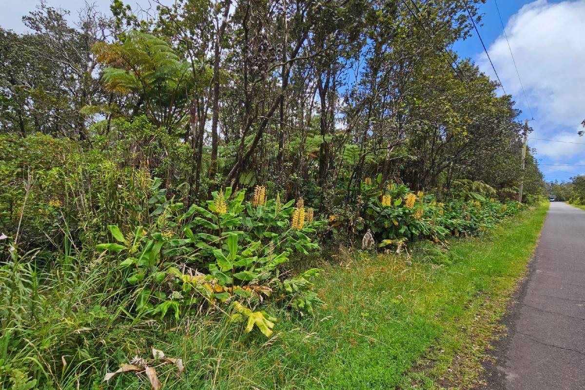 Ala Ohia St in OHIA ESTATES MLS® 703660 For Sale 22,000 in Puna, Hawaii