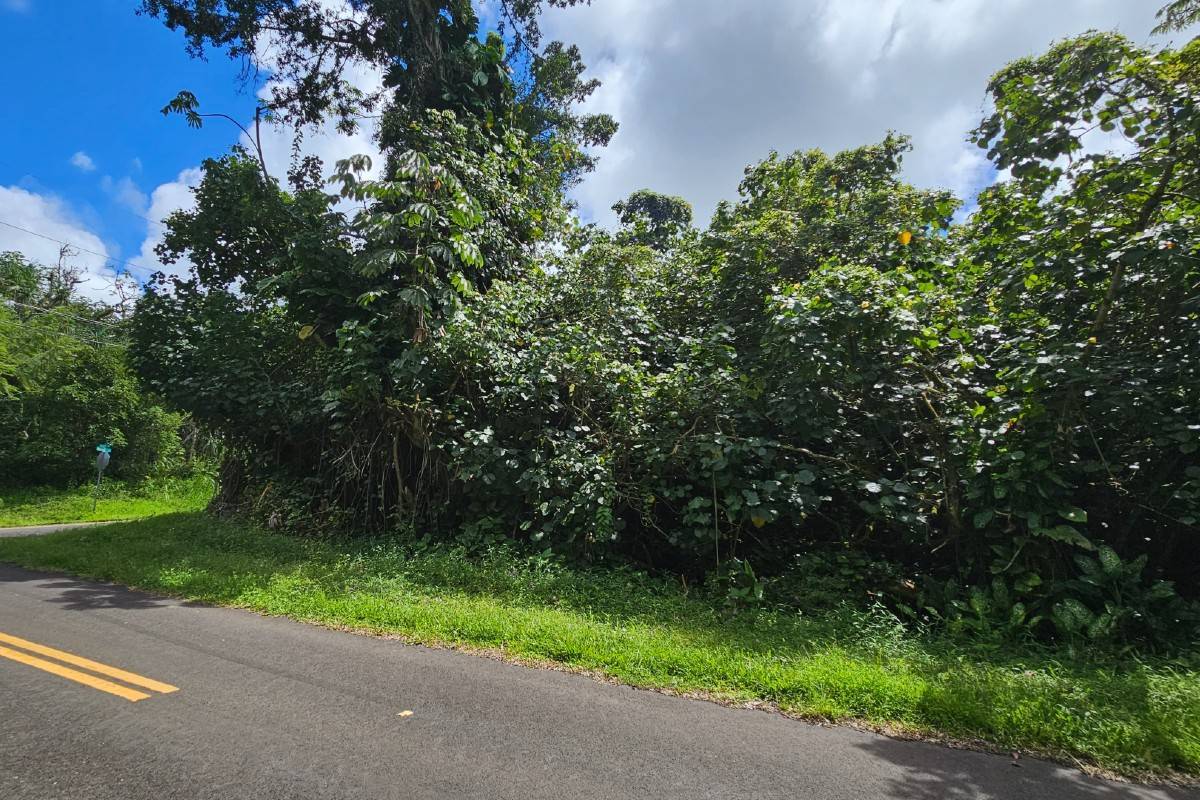 Moana St in HAWAIIAN BEACHES SUBDIVISION | MLS® 703875 For Sale $20,000 ...