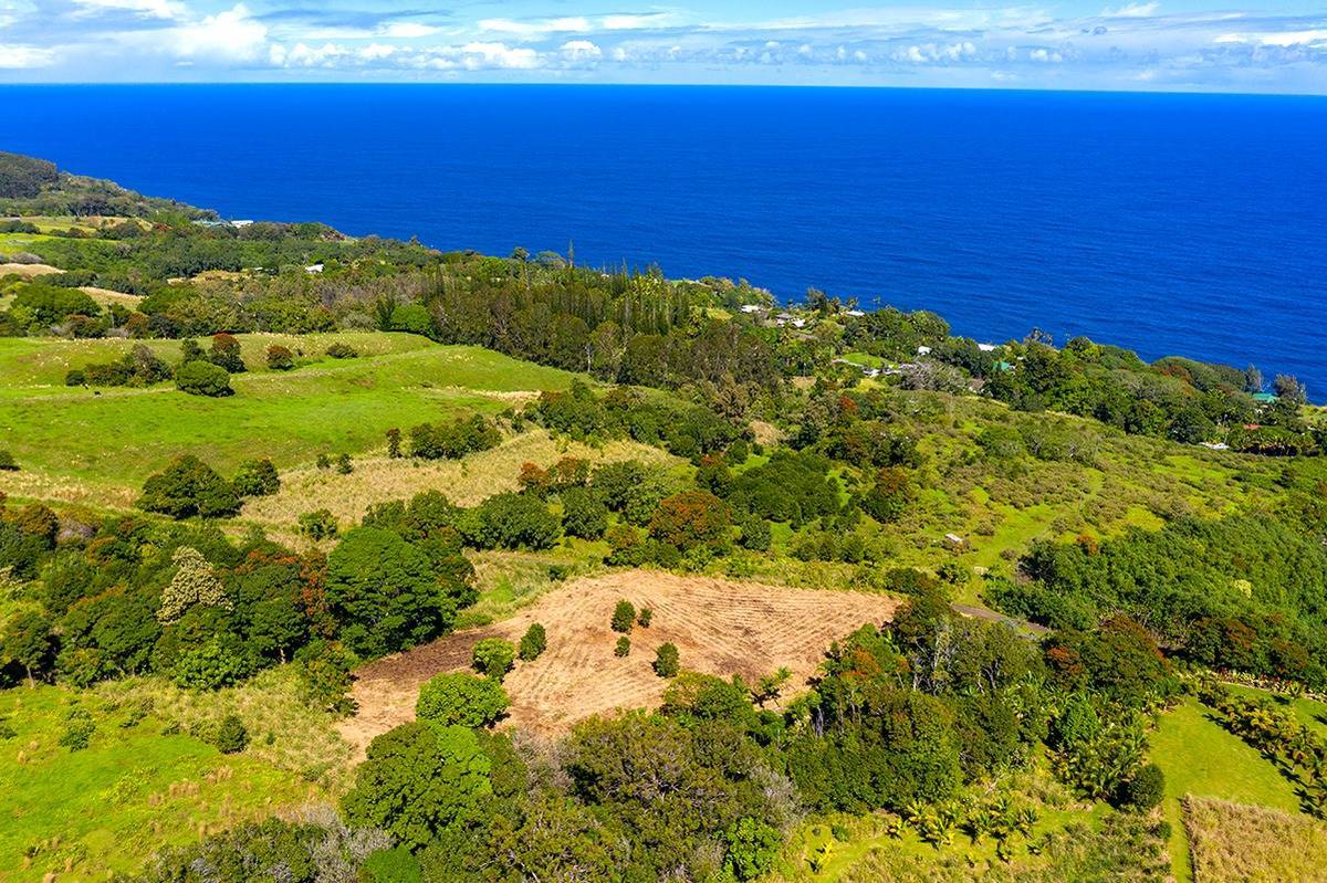 32899 Old Mamalahoa Hwy in KAHUKU KAPENA MLS® 704052 For Sale