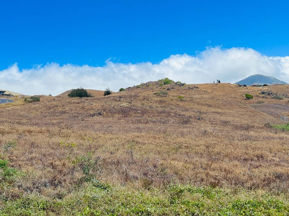 Kohala Ranch in KOHALA RANCH MLS® 704583 For Sale 399,000 in North