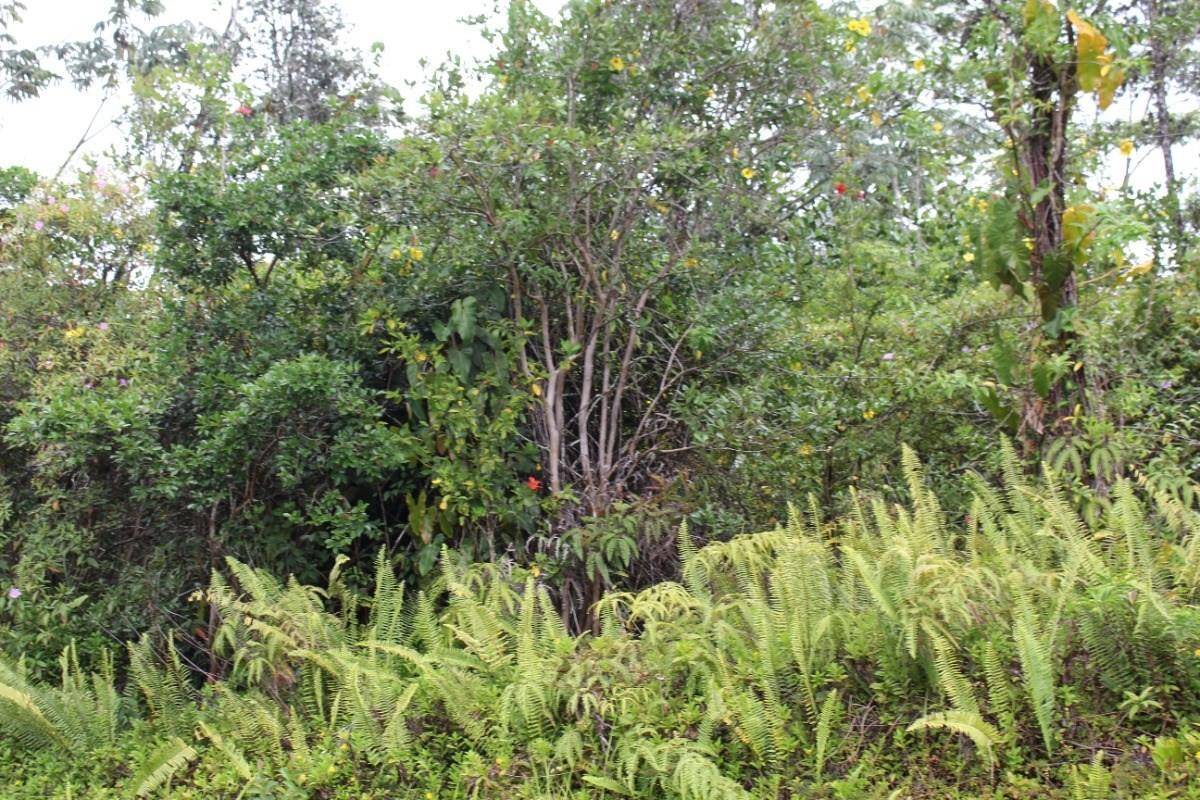 24th Ave in HAWAIIAN PARADISE PARK MLS® 704596 For Sale 119,000 in Puna, Hawaii