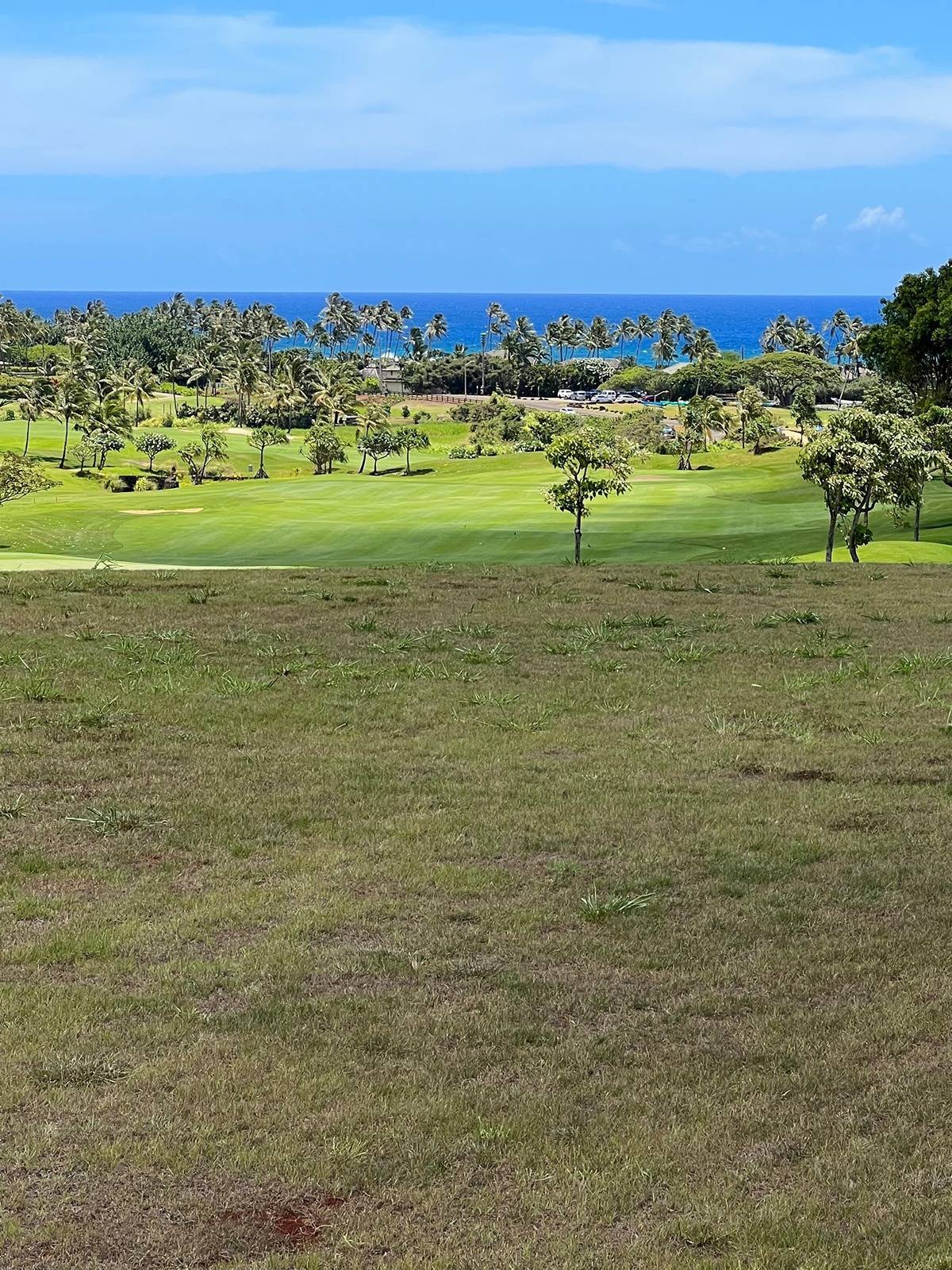 La Hiki Pl in KUKUIULA PARCEL G SUBDIVISION MLS® 704618 For Sale