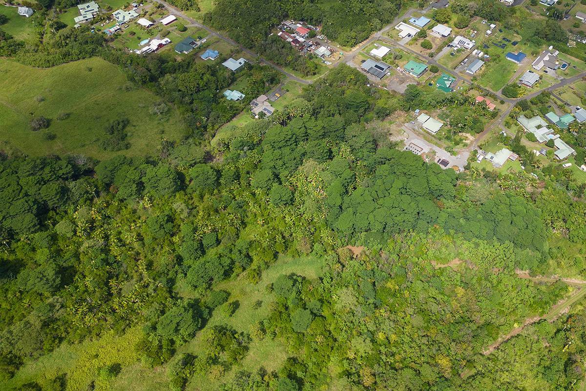 Ponahawai, Kaumana, Kukuau 2nd in PONAHAWAI, KAUMANA, KUKUAU 2ND MLS