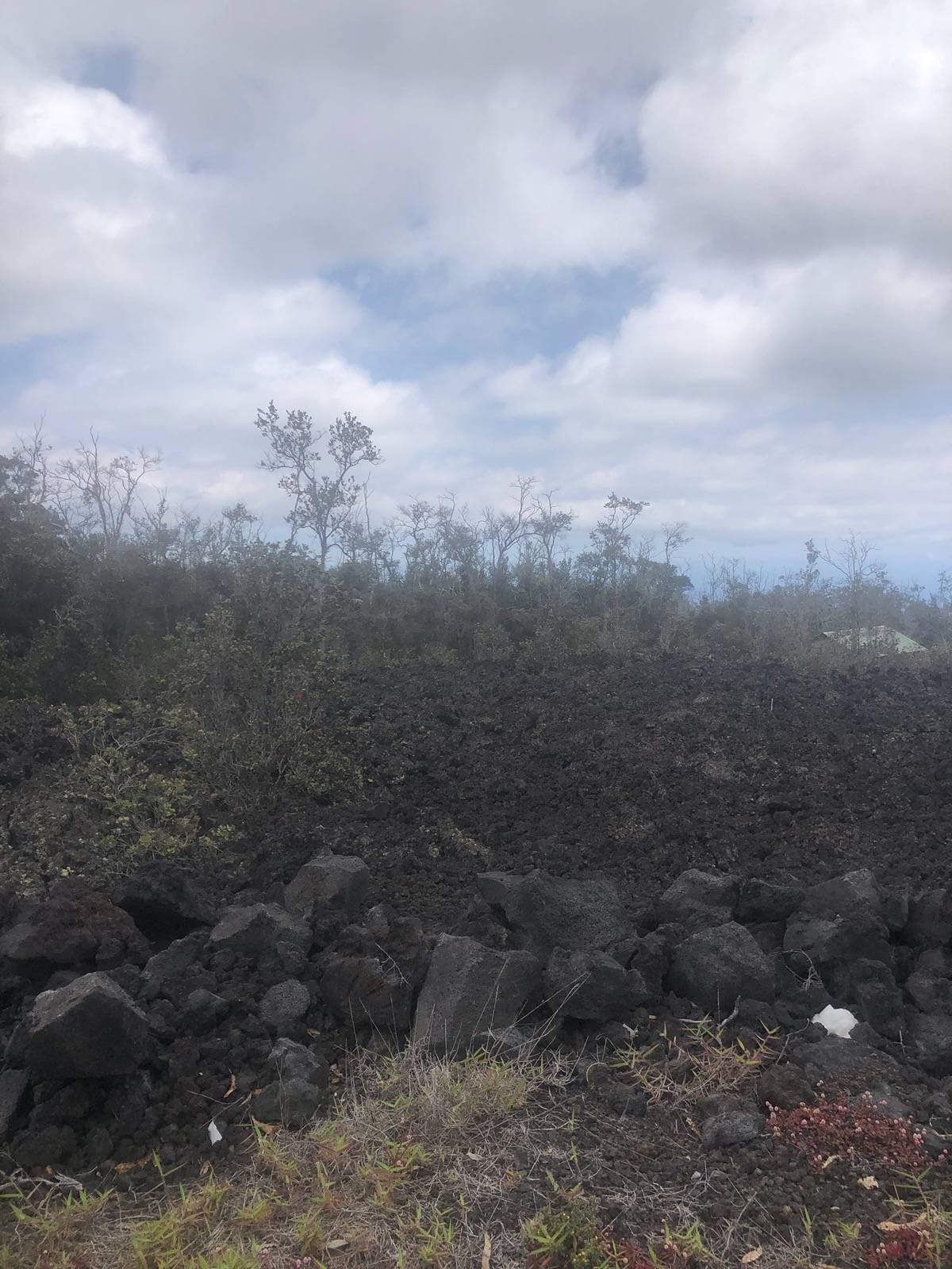 Bamboo Ln in HOVE MLS® 704900 For Sale 20,000 in Kau, Hawaii