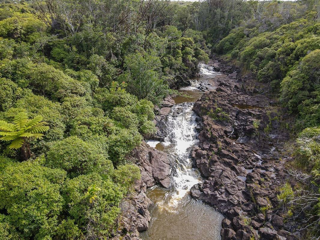 Piha Homesteads in PIHA HOMESTEADS MLS® 705116 For Sale 400,000 in