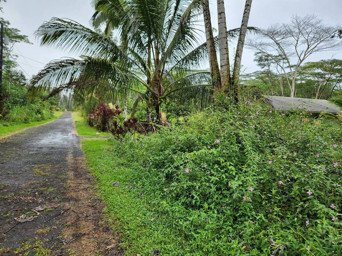 Paradise Rd in NANAWALE ESTATES SUBDIVISION MLS® 705423 For Sale