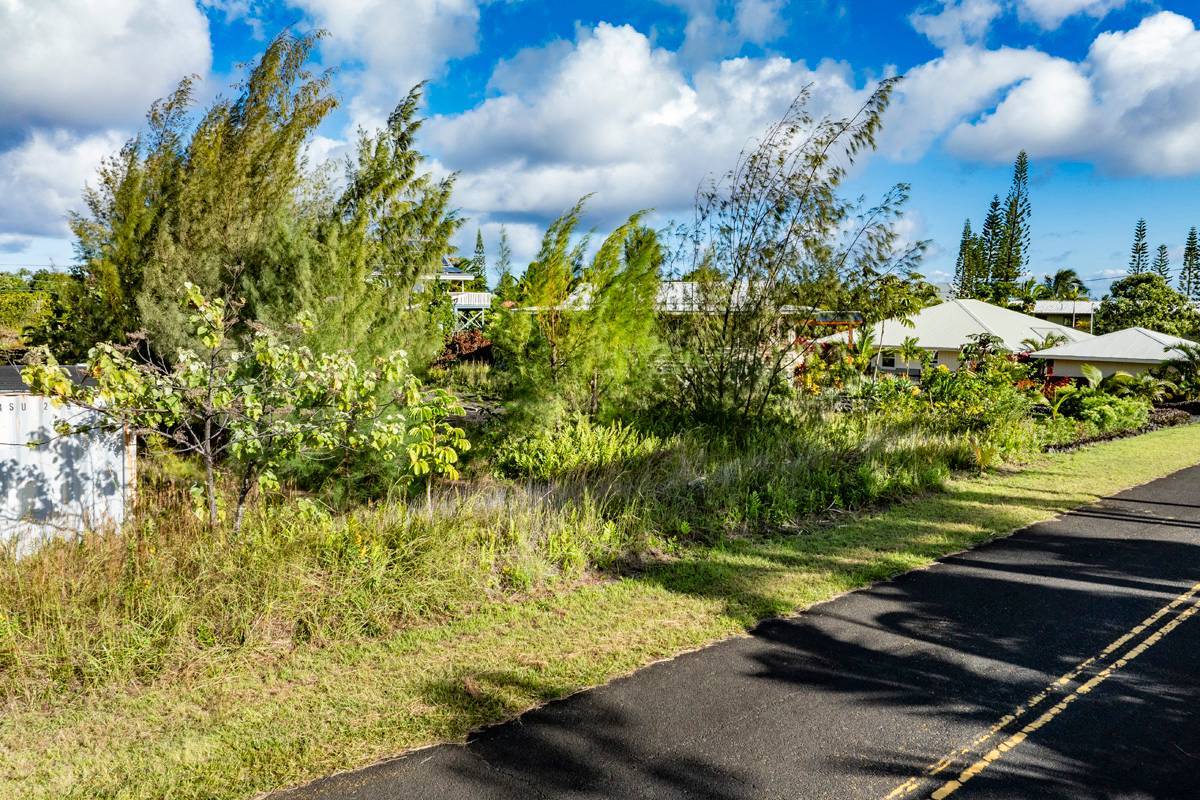 12164 Moanauli Loop in KALAPANA SEA VIEW ESTATES MLS® 706518 For