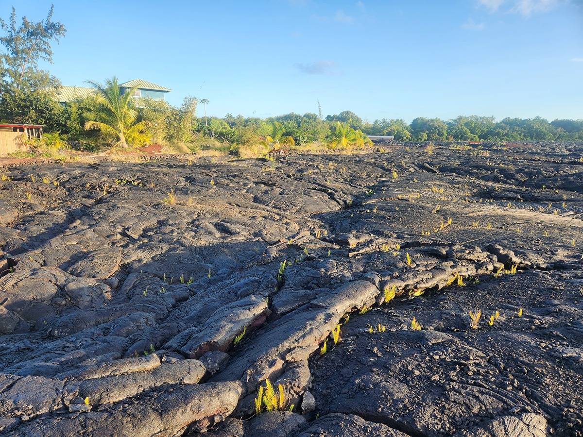 Ala Lokelani in KALAPANA VACATION LOTS MLS® 707242 For Sale 19,000 in Puna, Hawaii