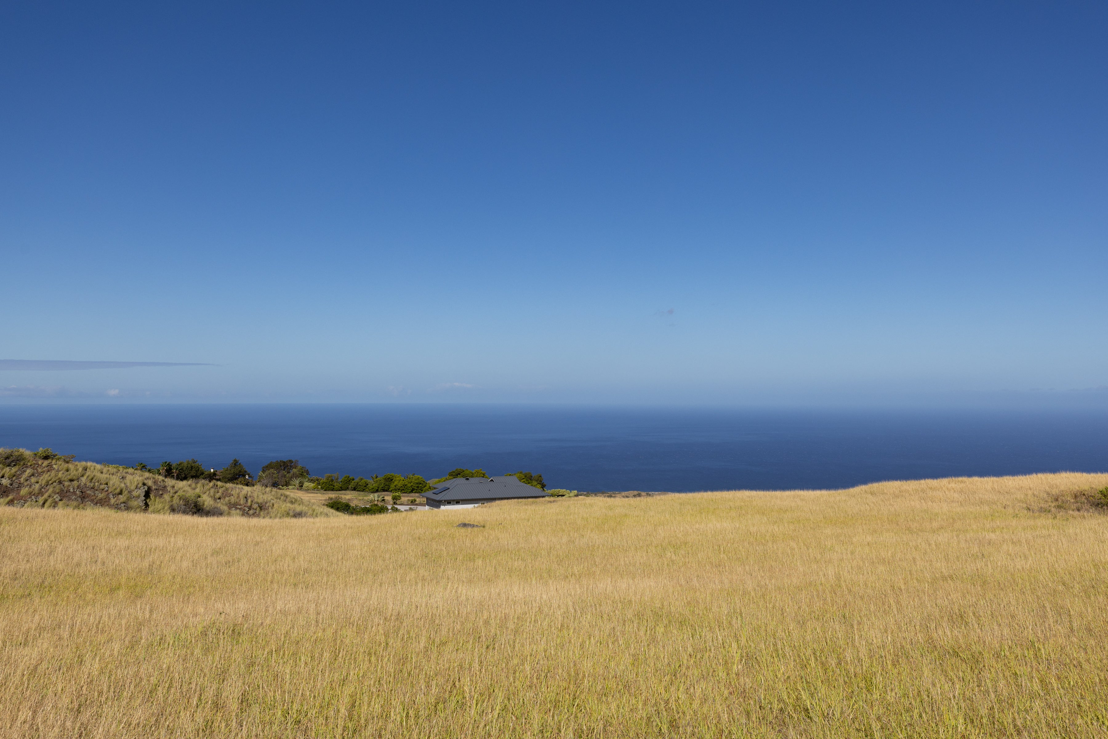 Photo of Listing #711813